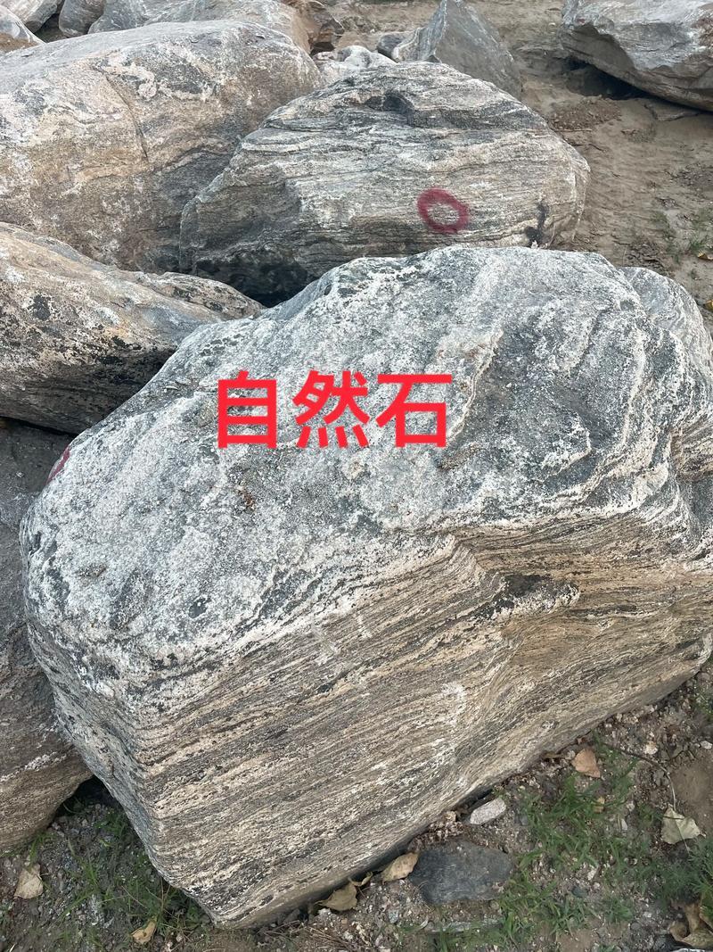 市政绿化养护：城市绿肺的呵护之道
