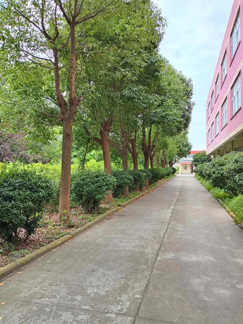 园林绿化设计选购指南