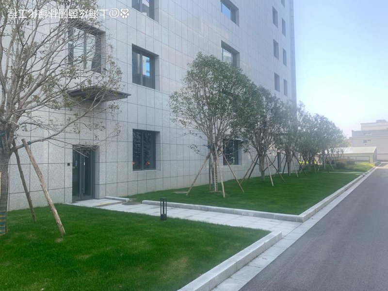 园林绿化设计：打造城市绿肺的艺术
